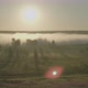 Aerial view of a field with lilac flowers at dawn and fog in the background - VideoHive Item for Sale