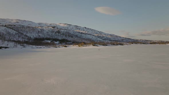 Tracking a sea eagle flying over frozen lake; Skogsfjordvatnet; aerial slowmo alt