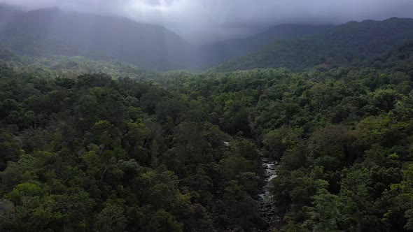 Daintree Rainforest tilt aerial with river, trees and cloudy mountains, Mossman Gorge, Queensland, A alt