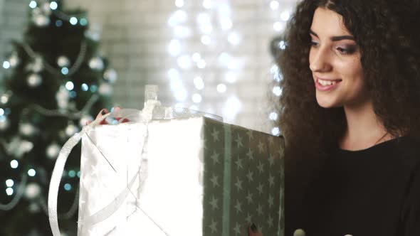 Beauty Woman with Christmas Gift alt