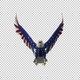 American Eagle - USA Flag - Flying Transition - V - 263