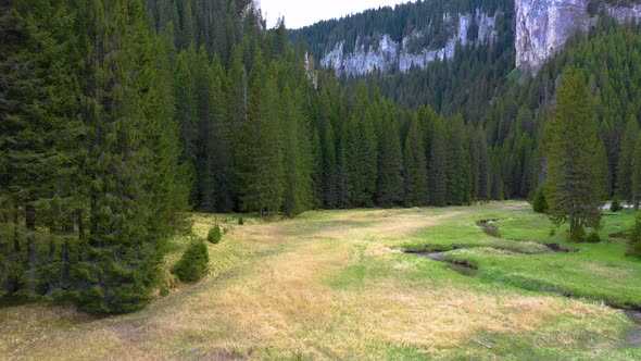Mountain forest river valley with green meadow. Altai mountains Siberia. alt