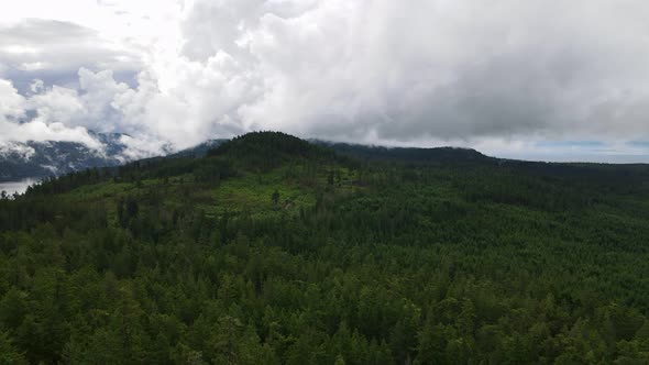 Panoramic view over the lush green forests and mountains along the Sunshine Coast Trail in British C alt