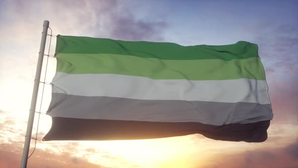 Aromantic Pride Flag Waving in the Wind Sky and Sun Background alt