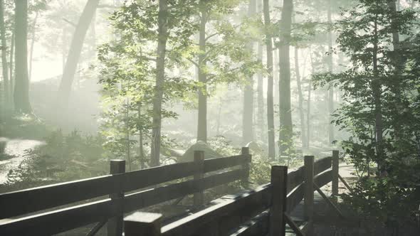 Old Wooden Bridge Over a Small Stream in a Park alt