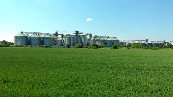 Green Field on the Background of Grain Elevators