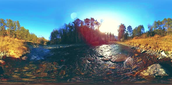 360 VR Virtual Reality of a Wild Mountains Pine Forest and River Flows alt