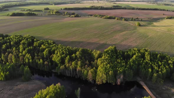 14 Agricultural Field