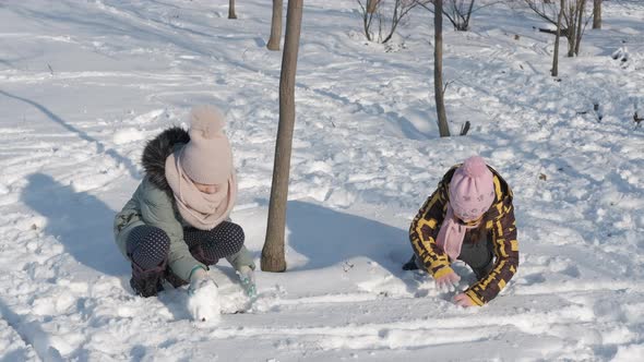 Friends Make a Snowman alt