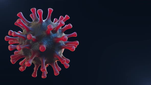 A living Coronavirus Loop