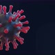 A living Coronavirus Loop - VideoHive Item for Sale