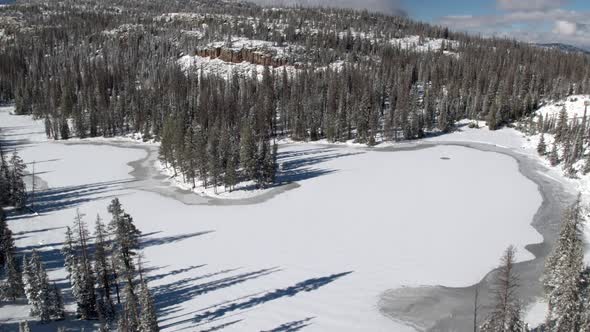 Aerial view above forest and lake frozen in winter alt