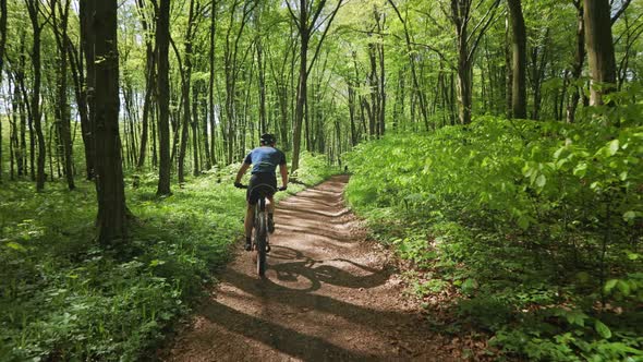 A Cyclist is Riding Downhill at High Speed alt