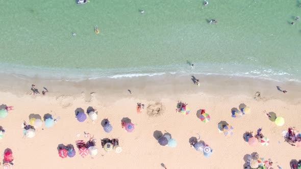 People Playing and Relaxing in Water at the Beach alt