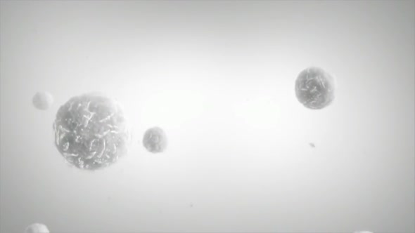 Helper T cells become activated by interacting with antigen-presenting cells, such as macrophages alt