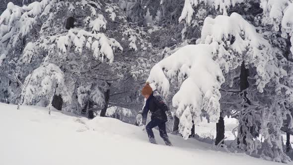 Boy walking in the forest in winter. alt