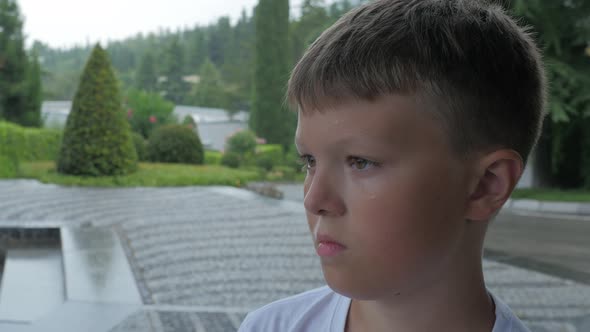 Portrait of Serious Little Boy Staring at Something in Park, Crimea