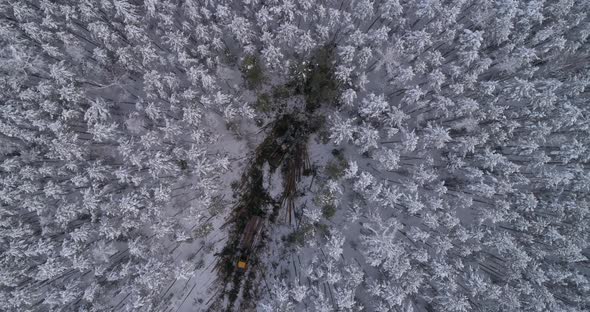 Top down Aerial view of harvester logging a trees in the winter forest 39 alt