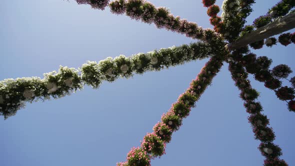 Hanging Garlands of Flowers in a Park alt