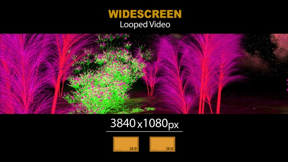 Widescreen Exotic Forest 04