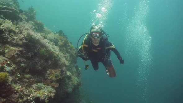Diver Under Water alt