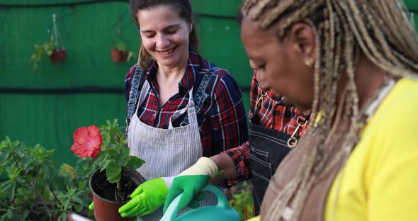 Multiracial women working inside greenhouse garden - Nursery and spring concept alt