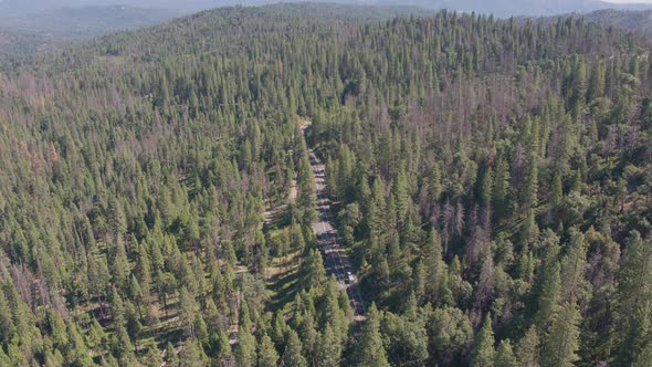 Aerial Drone Shot Tracking a Line of Cars Driving On a Forest Road (Sierra National Forest, CA)