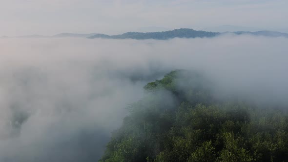 Aerial Drone View of Costa Rica Rainforest Landscape with River and Mountains, Amazing Nature and Mi alt