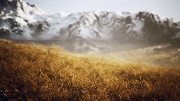 Dry Grass and Snow Covered Mountains in Alaska alt
