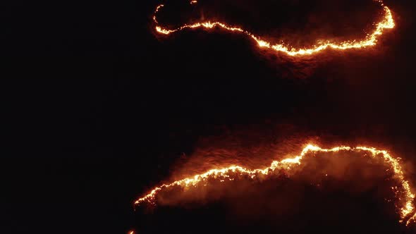 Forest Fire at Night Aerial Drone Shot Burning Field of Dry Grass in Flame
