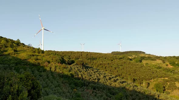 Wind turbines are spinning on a hill with green forest and blue sky