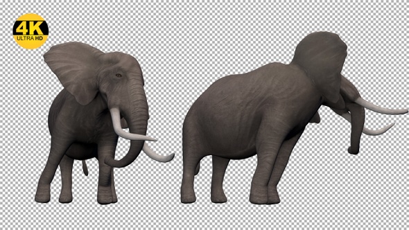 Elephant Attack Pack V2 (Pack of 4)