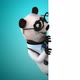 Fun panda doctor - VideoHive Item for Sale