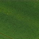 Aerial Footage from a Plantation in Sao Paulo Brazil - VideoHive Item for Sale