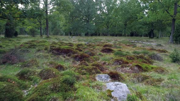 Drone Shot Flying Over Mossy Rocks and Grass