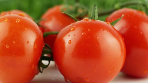 Ripe natural tomatoes close-up. Organic tomato rotating on a green background Macro shot. alt
