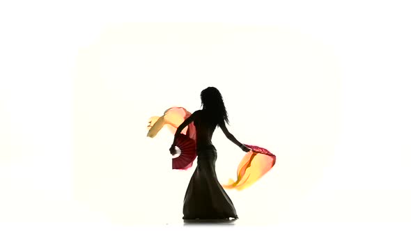 Exotic Belly Dancer Woman Dancing with Two Long Fans, on White, Silhouette, Shadow, Slow Motion alt