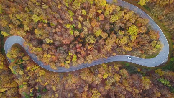 Aerial View Curvy Road Through Wood in Autumn