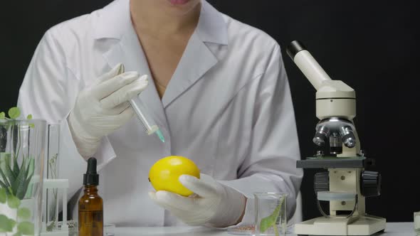 Female Lab Technician in Gloves Exploring Lemon Fruit By Injecting Chemicals