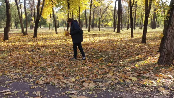 Woman collects yellow leaves in the autumn park.