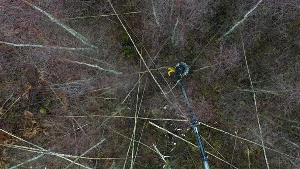 rotating drone footage of saw cutting down trees alt