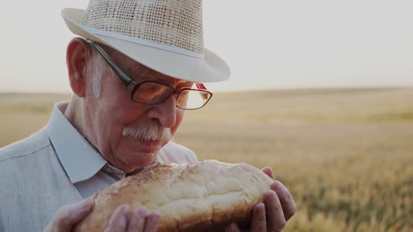Senior Man with Glasses and Hat Kisses a Loaf of Bread and Smiles in Wheat Field alt
