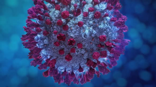 Fictional Image of Coronavirus Infection Looped 3