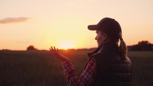 An Angry Farmer Is Talking Emotionally on the Phone. Standing in the Wheat Field at Sunset alt
