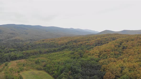 Aero View  Wild Autumn Forest