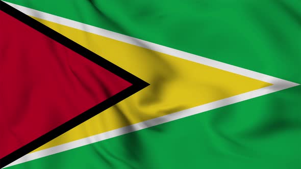 Guyana flag seamless closeup waving animation