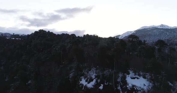 Lonquimay Chile Forest Aerial At Dusk alt