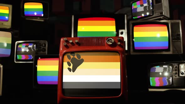 Bear Brotherhood Pride Flag and Gay Pride Flags on Retro TVs. alt