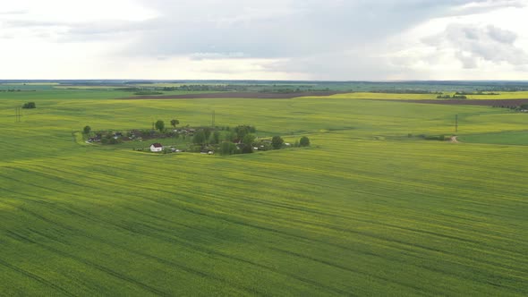 Top View of a Sown Green Field and a Small Village in Belarus
