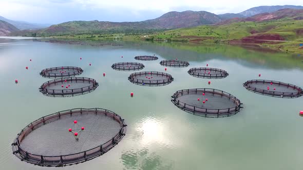 Pisciculture Fish Farming in Lake alt